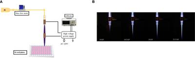 The effect of argon cold atmospheric plasma on the metabolism and demineralization of oral plaque biofilms